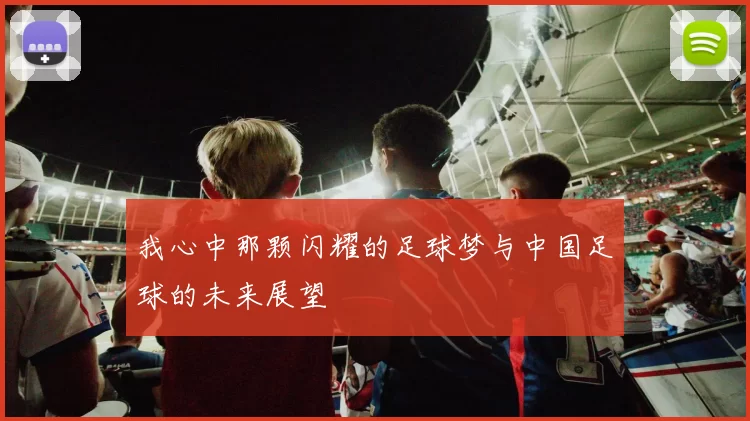 我心中那颗闪耀的足球梦与中国足球的未来展望