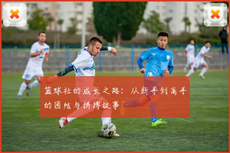 篮球社的成长之路：从新手到高手的团结与拼搏故事